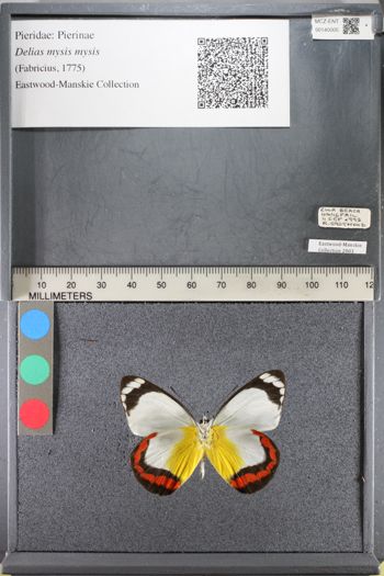 Media type: image;   Entomology 140005